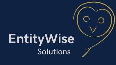 EntityWise Solutions logo with owl illustration